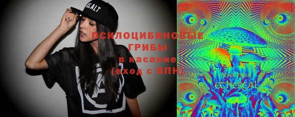 первитин Вяземский