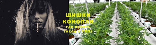 первитин Вяземский