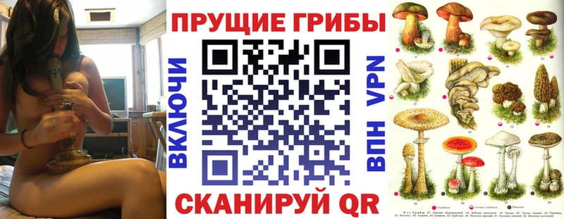 Псилоцибиновые грибы мицелий  Рубцовск 